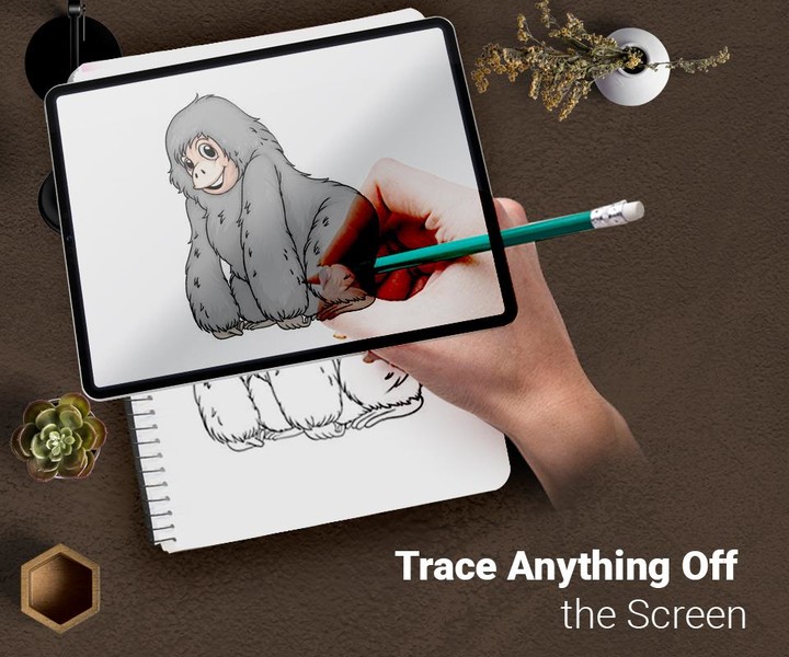 Draw : Trace & Sketch screenshot image 11_Popularmodapk.com