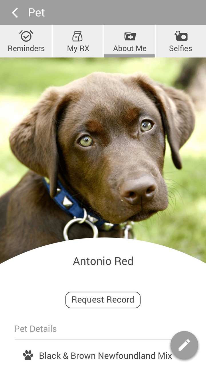 战斗任务破解版<span>(mod)</span> screenshot image 5_Popularmodapk.com