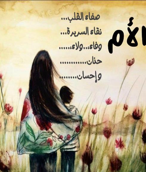 News 9 Weather screenshot image 12_Popularmodapk.com