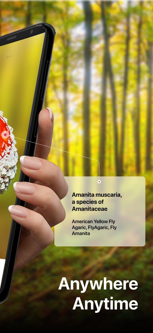 Picture Mushroom - Mushroom ID screenshot image 5_Popularmodapk.com