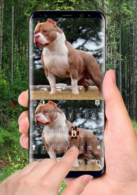 Biggest Pitbull Keyboard screenshot image 11_Popularmodapk.com
