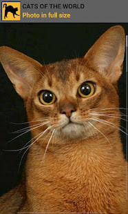 Masnoon Dua Ki Barkat screenshot image 5_Popularmodapk.com