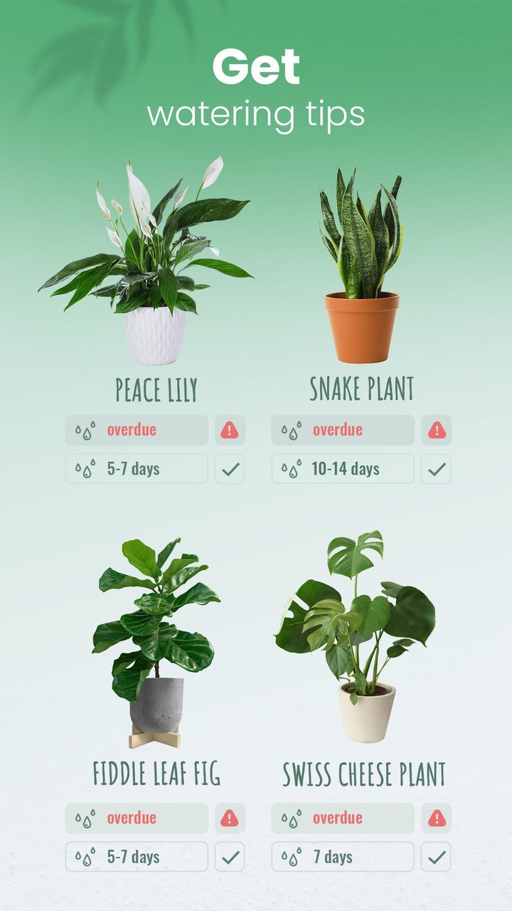 Blossom - Plant Identification screenshot image 4_Popularmodapk.com