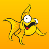 Beginner2.43_Popularmodapk.com