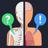Anato Trivia -  Quiz Anatomy3.3.1_Popularmodapk.com