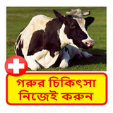 গরুর চিকিৎসা ~ Cows Treatment1.0_Popularmodapk.com