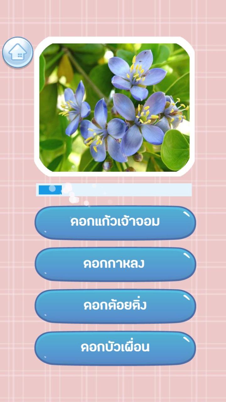 เกมส์ทายชื่อดอกไม้ไทย 2566 screenshot image 5_Popularmodapk.com