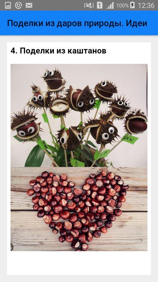 Поделки из даров природы. Идеи screenshot image 5_Popularmodapk.com