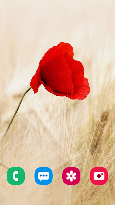 Nature Wallpaper Backgrounds screenshot image 15_Popularmodapk.com