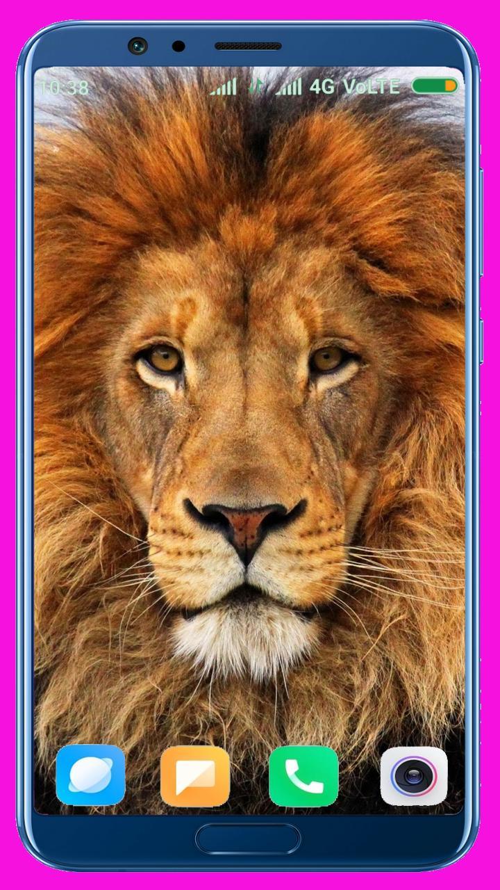 Lion HD Wallpaper screenshot image 30_Popularmodapk.com
