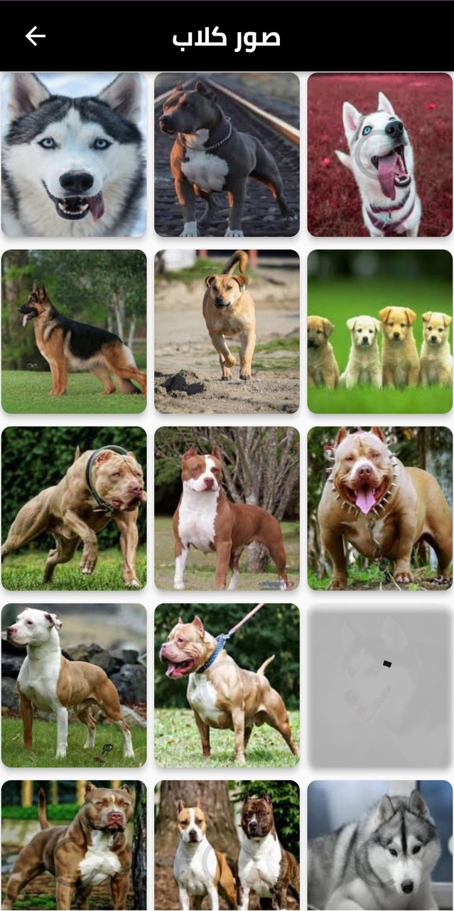 صور 4k screenshot image 5_Popularmodapk.com