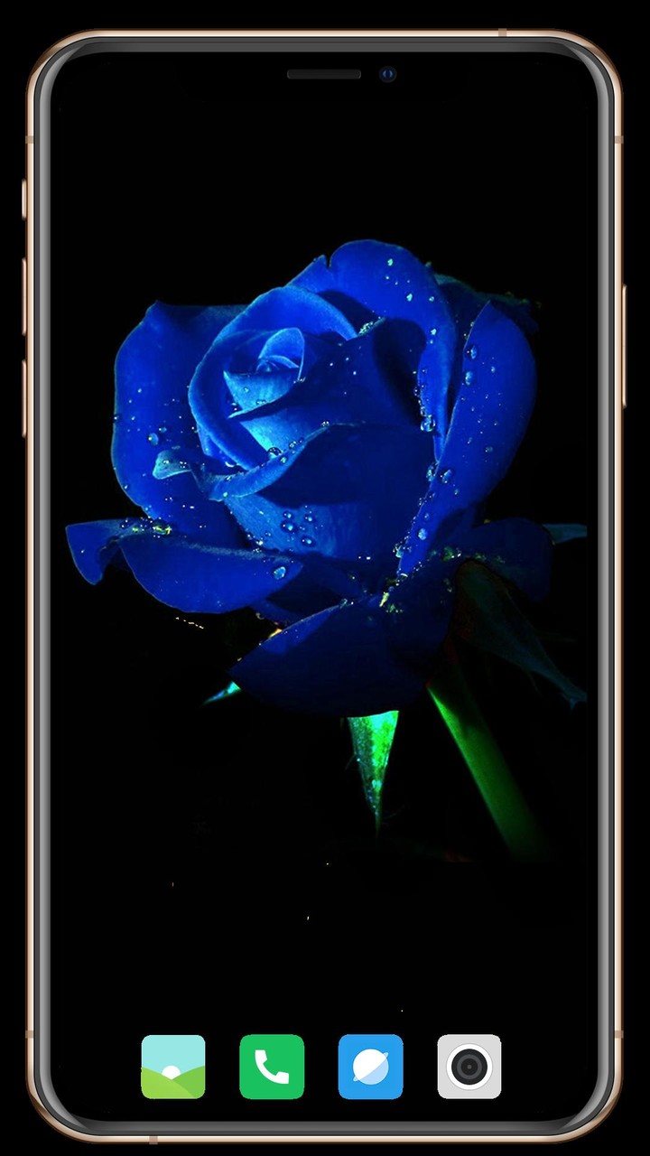 Salons Nearby screenshot image 9_Popularmodapk.com