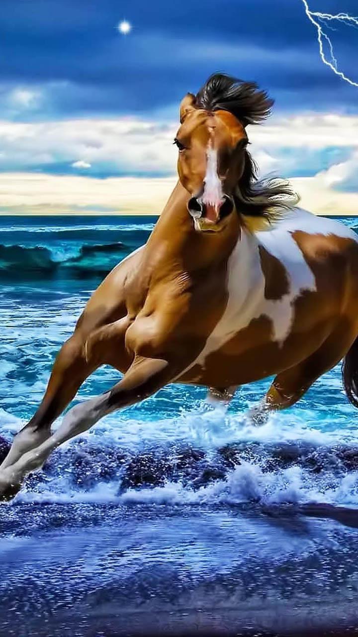 Horses Live Wallpaper screenshot image 7_Popularmodapk.com