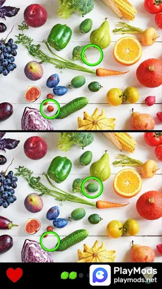 Find the Difference 1000+<span>(No Ads)</span> screenshot image 2_Popularmodapk.com