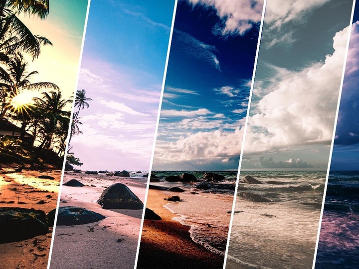 Gelatin screenshot image 2_Popularmodapk.com