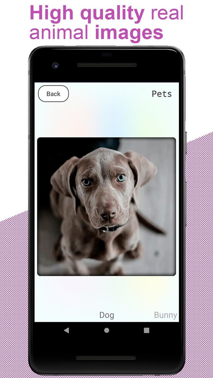 Animal Learning For Toddlers screenshot image 9_Popularmodapk.com