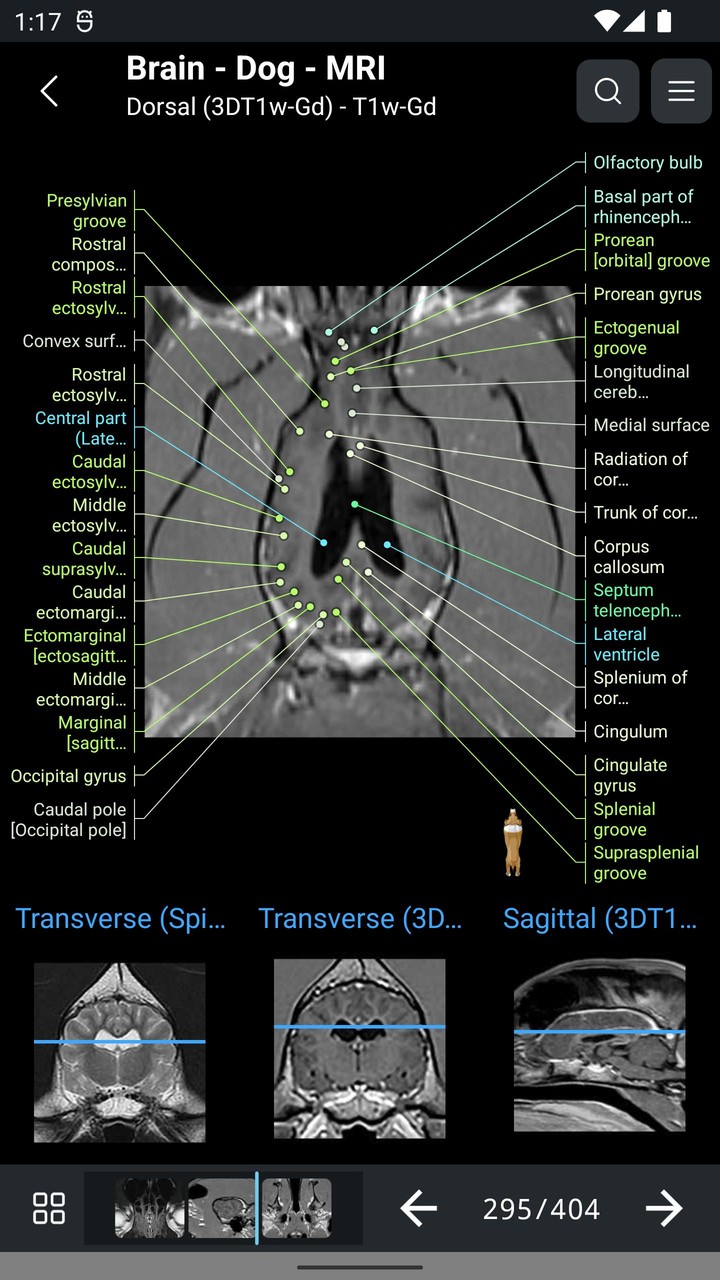 vet-Anatomy screenshot image 8_Popularmodapk.com