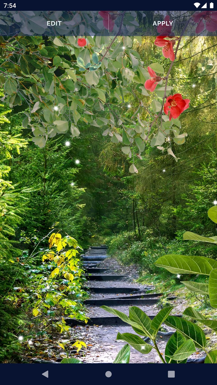 Forest Live Wallpaper screenshot image 8_Popularmodapk.com