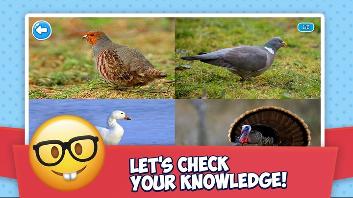 Sokodice(Unlock levels) screenshot image 15_Popularmodapk.com