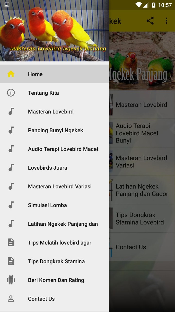 Masteran Lovebird Ngekek screenshot image 3_Popularmodapk.com