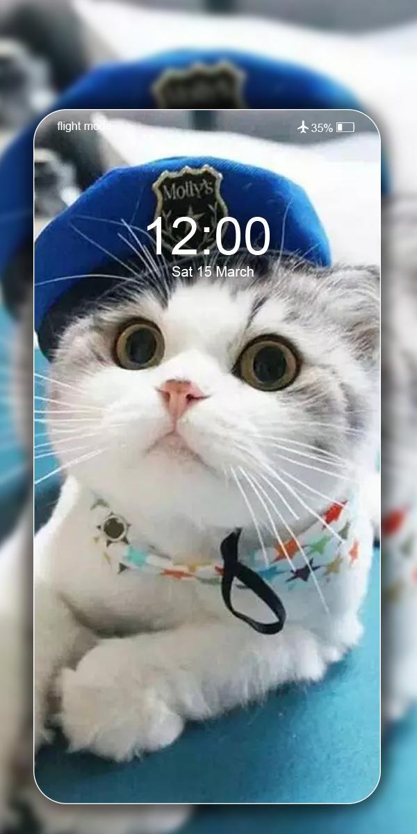 Cute Cat Wallpaper Live HD screenshot image 6_Popularmodapk.com