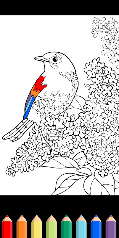 Coloring Book (by playground) screenshot image 15_Popularmodapk.com