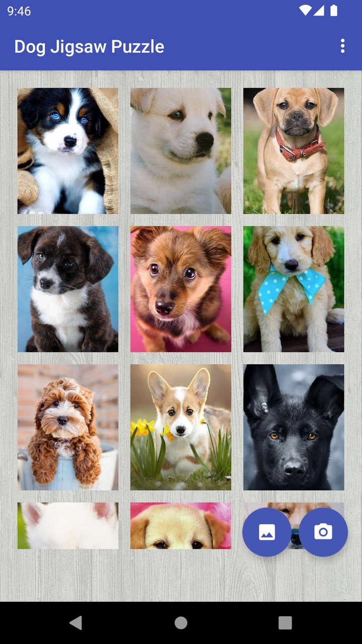 Dog Jigsaw Puzzle screenshot image 4_Popularmodapk.com