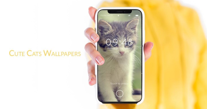 Beautiful Cats Wallpapers screenshot image 3_Popularmodapk.com