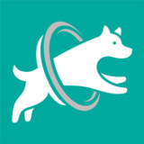 DogPack1.0.16_Popularmodapk.com