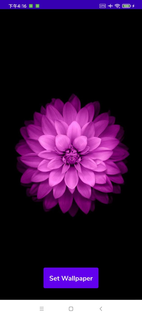 Full Meals Designer Wallpapers HD Background screenshot image 3_Popularmodapk.com