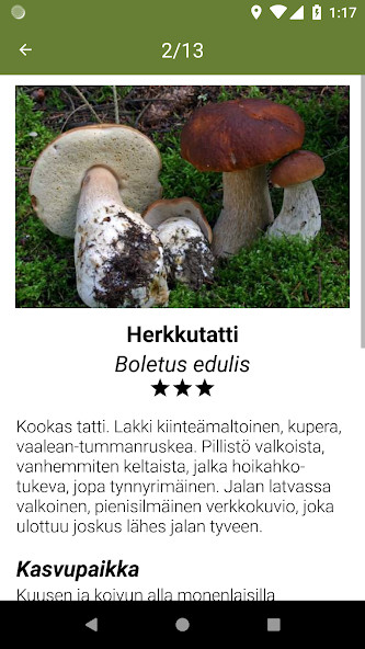 Obrafit - Gestão de obras screenshot image 5_Popularmodapk.com