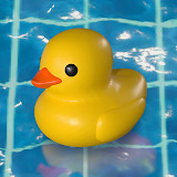 Placid Plastic Duck Simulator<span>(Free Download)</span>0.9.62_Popularmodapk.com