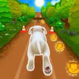 Pet Run - Puppy Dog Game(Large currency)1.4.12_Popularmodapk.com