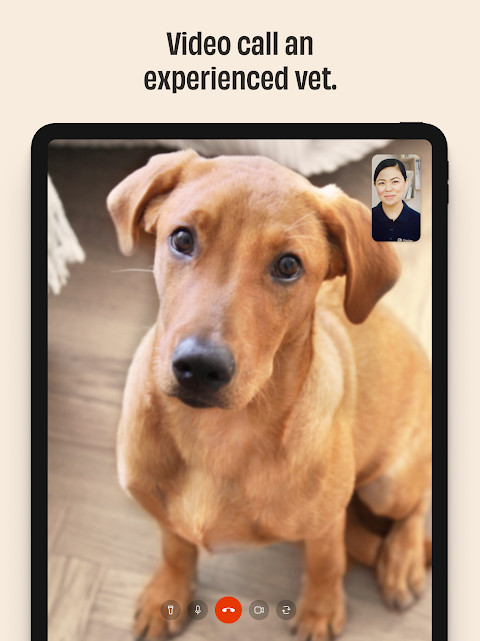 The Clubhouse Grill screenshot image 7_Popularmodapk.com