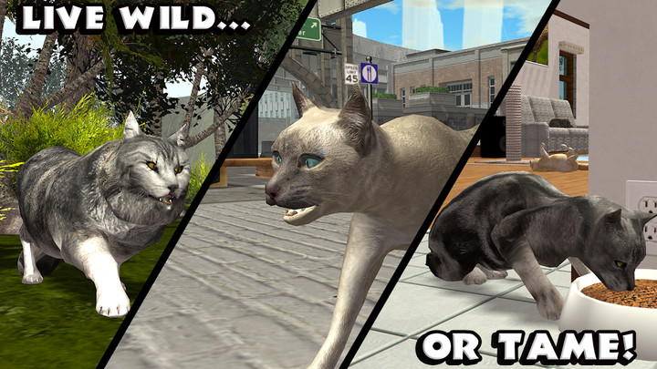 Ultimate Cat Simulator<span>(Unlimited money)</span> screenshot image 3_Popularmodapk.com