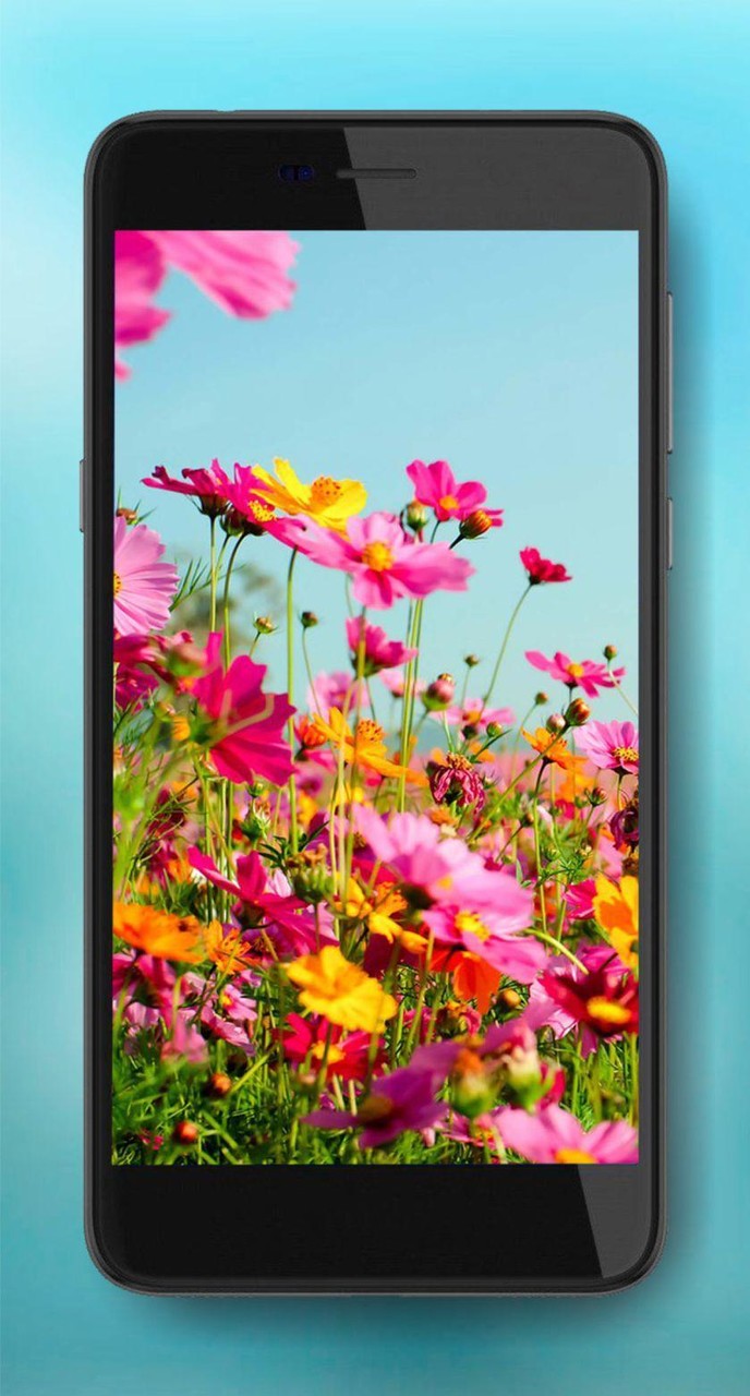 Summer Mood Live Wallpaper screenshot image 3_Popularmodapk.com