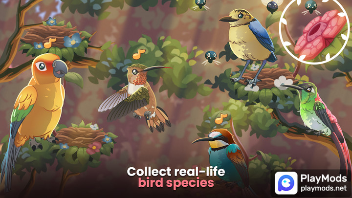 Bird Kind<span>(Unlimited Money)</span> screenshot image 1_Popularmodapk.com