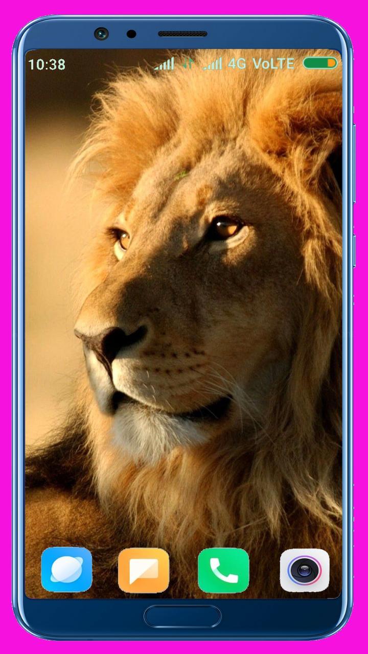 Lion HD Wallpaper screenshot image 26_Popularmodapk.com