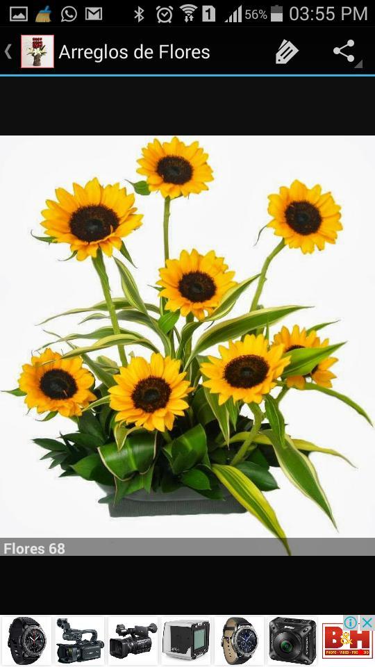 Mean Landlord(mod) screenshot image 3_Popularmodapk.com