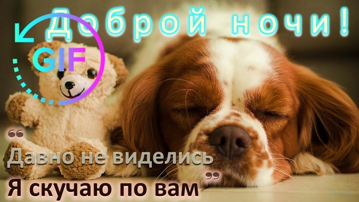Доброе утро желает гифка screenshot image 4_Popularmodapk.com
