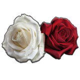 Flower sticker for Whatsapp -W1.0_Popularmodapk.com