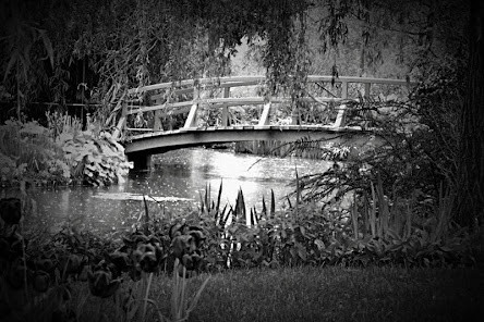 History of Liberia screenshot image 5_Popularmodapk.com