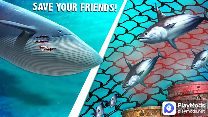 Blue Whale Simulator - Game<span>(Unlimited Resources)</span> screenshot image 5_Popularmodapk.com