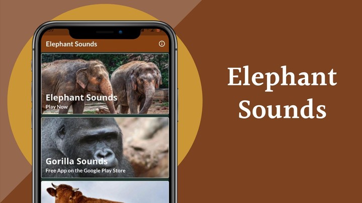 Elephant Sounds screenshot image 2_Popularmodapk.com