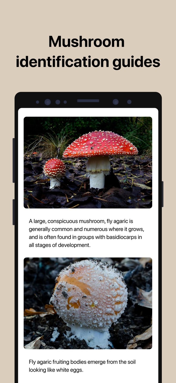 Picture Mushroom - Mushroom ID screenshot image 7_Popularmodapk.com