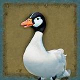 Game of the Goose 3D1.0.4_Popularmodapk.com