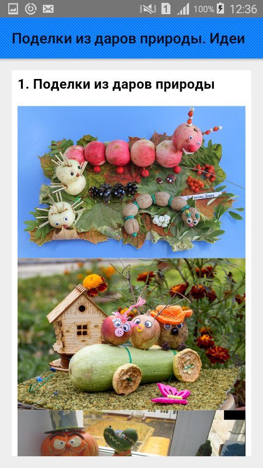 Поделки из даров природы. Идеи screenshot image 2_Popularmodapk.com