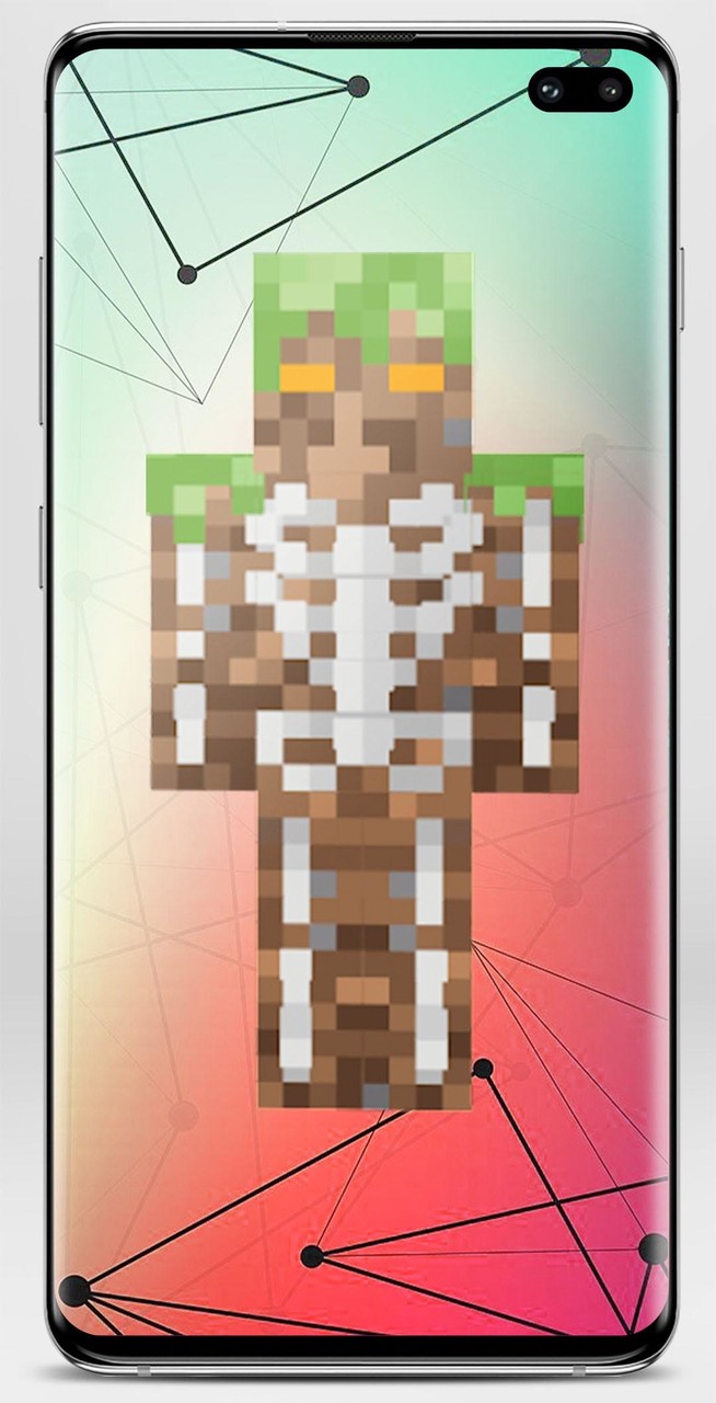 Skeleton Skin for Minecraft screenshot image 10_Popularmodapk.com