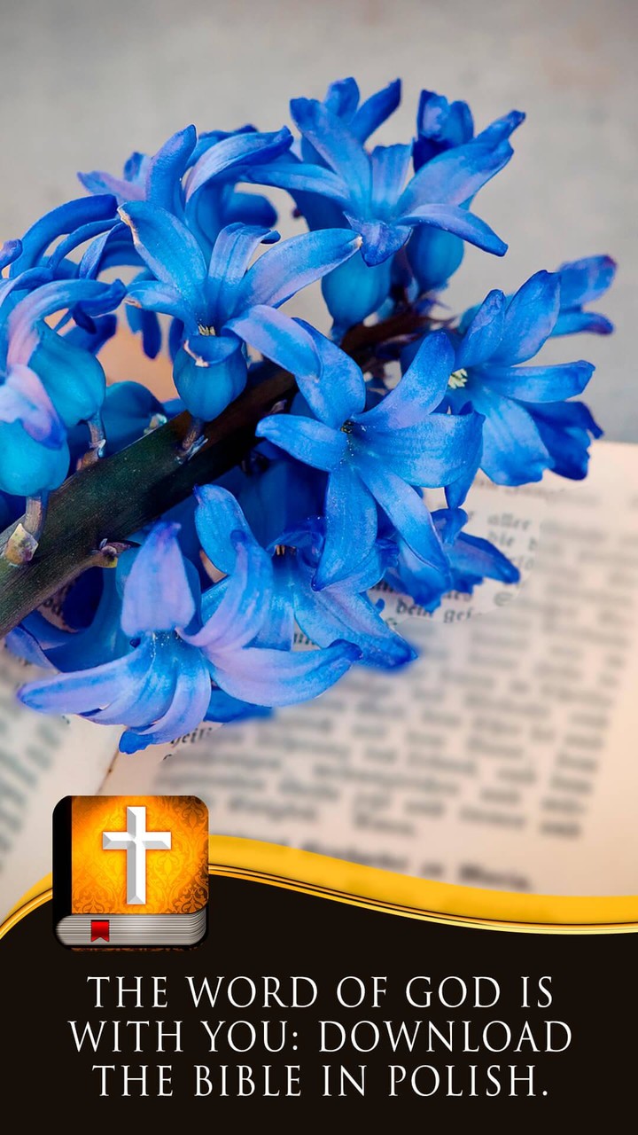 Polish Bible screenshot image 4_Popularmodapk.com