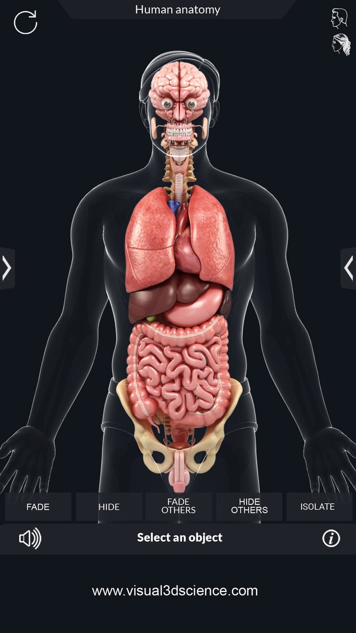 Organs Anatomy Pro. screenshot image 6_Popularmodapk.com